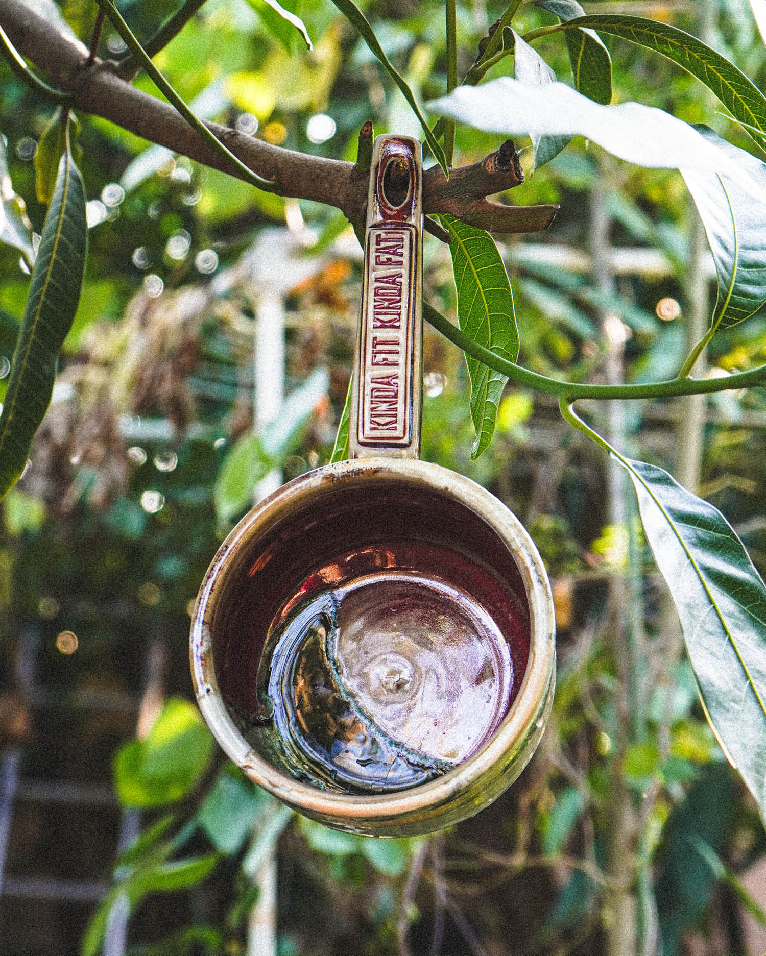 clay ceramic tabo bowl on wood branches in backyard