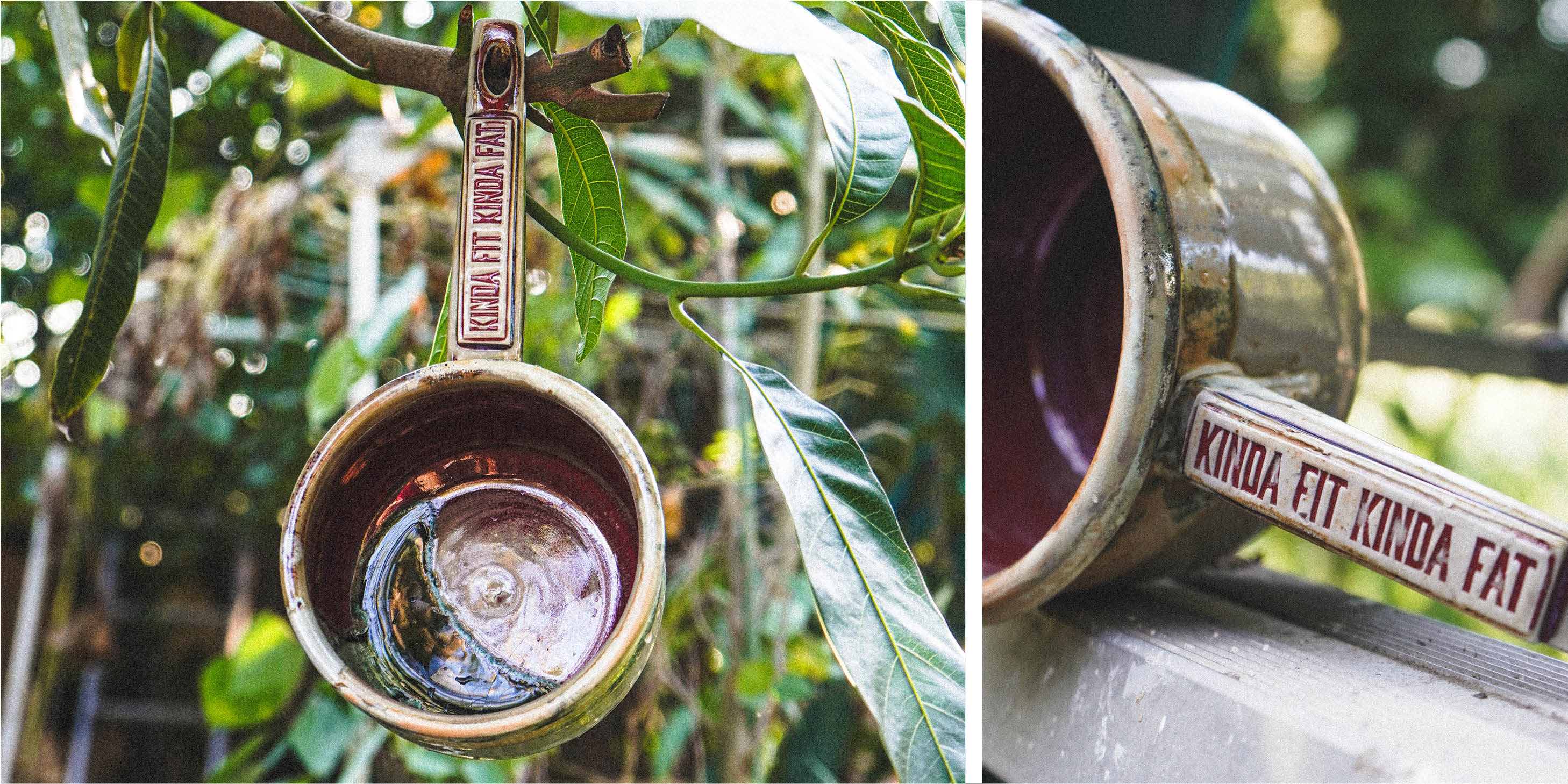 clay ceramic tabo bowl on wood branches in backyard