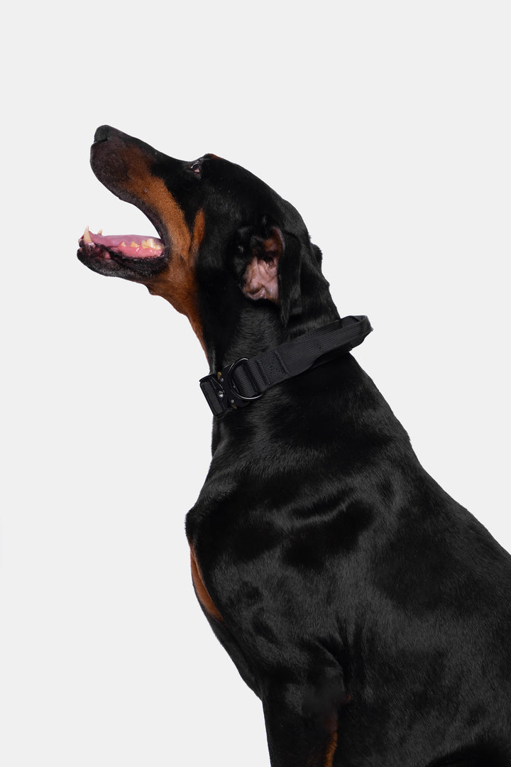 KFKF Tactical Dog Collar